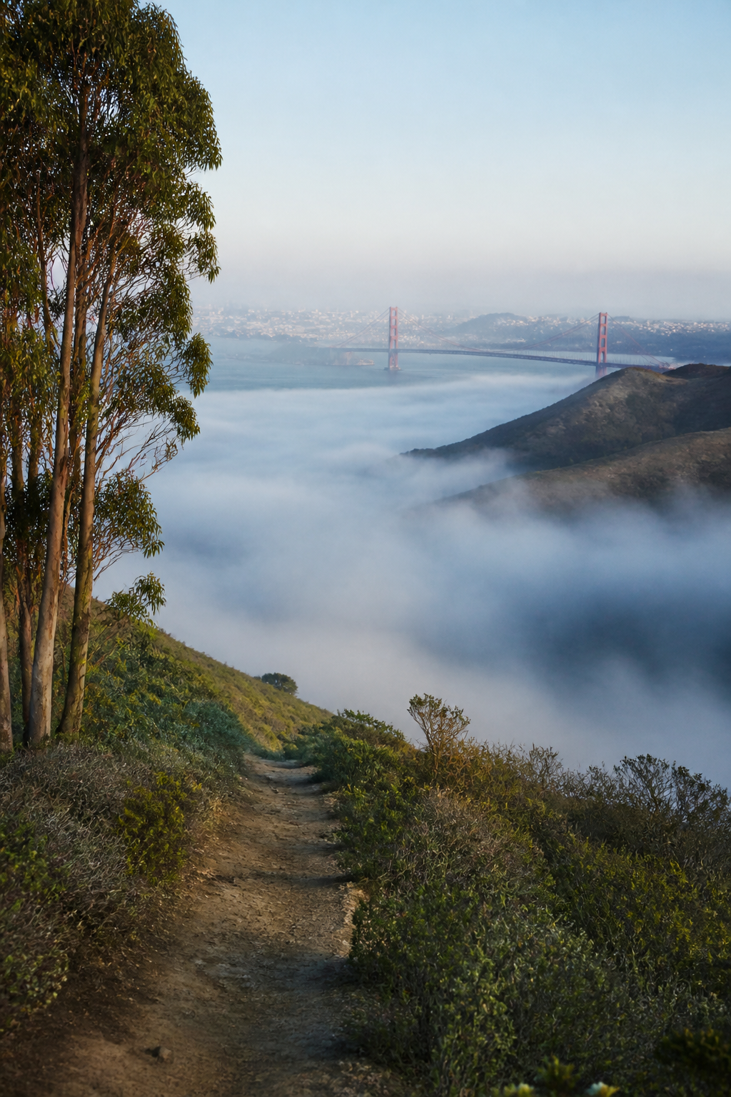 San Francisco hillside trail with fog and Golden Gate Bridge view