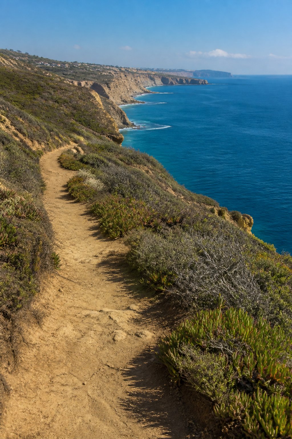 San Diego coastal cliff trail above the Pacific Ocean