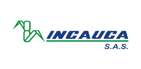 Incauca - Declaración de renta