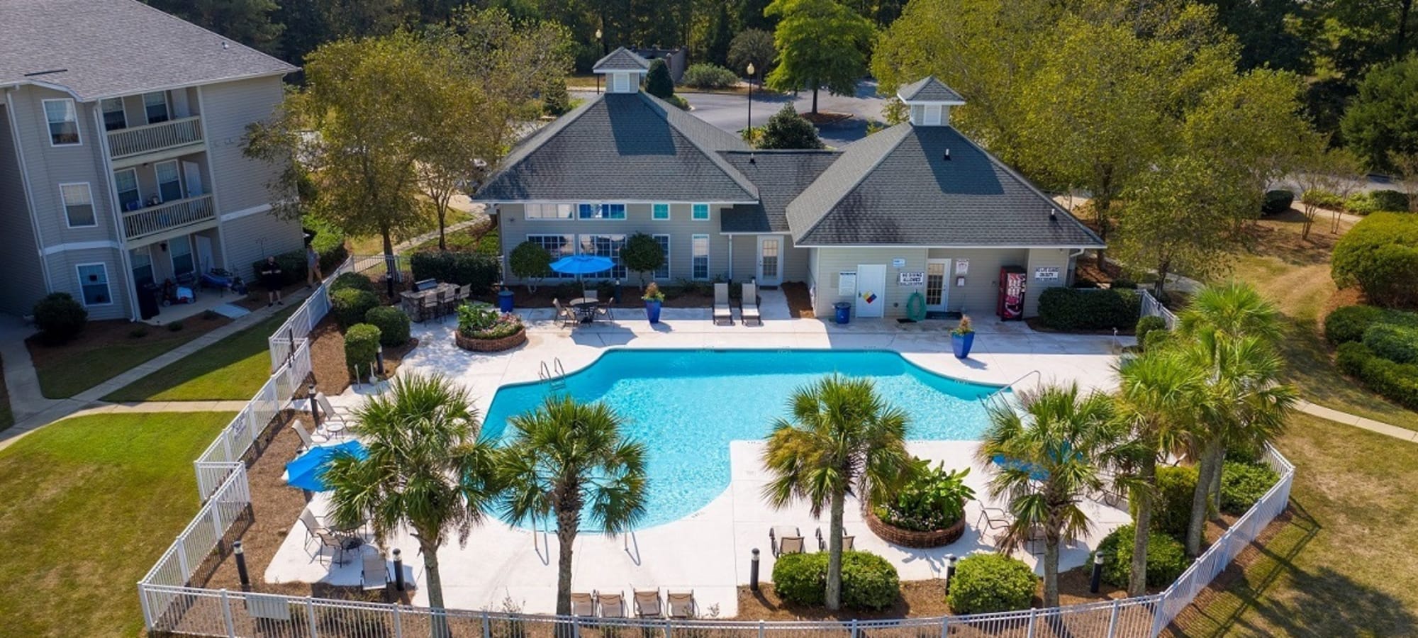 Overhead view of Swimming pool with umbrellas and palm trees