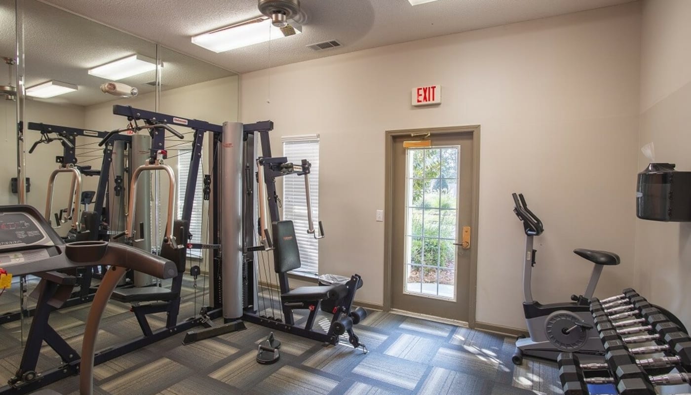 Gym with weights and stationary bikes