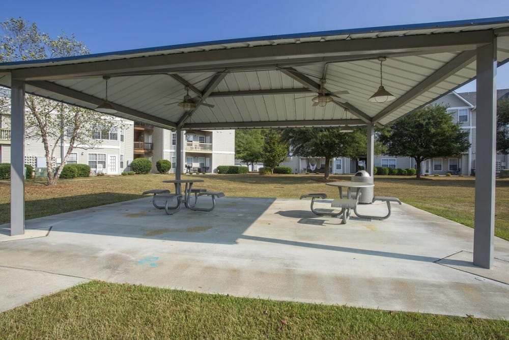 Outdoor picnic and BBQ area