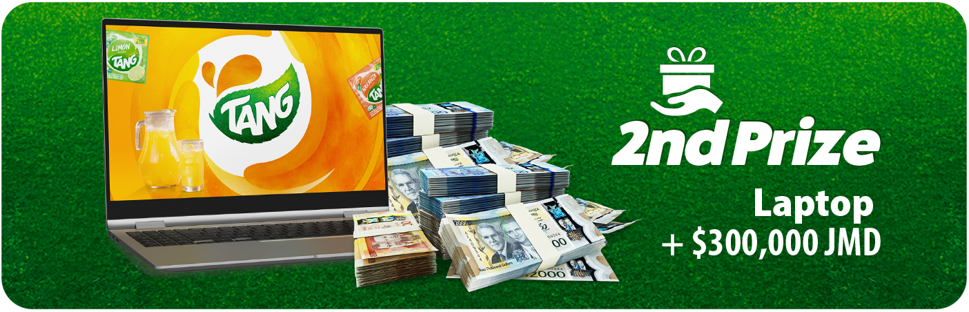 Image of second prize. (The image is a representation of the item, not the actual item.)