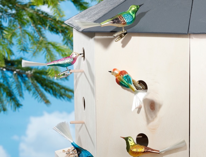 Glasvögel an einem Vogelhaus