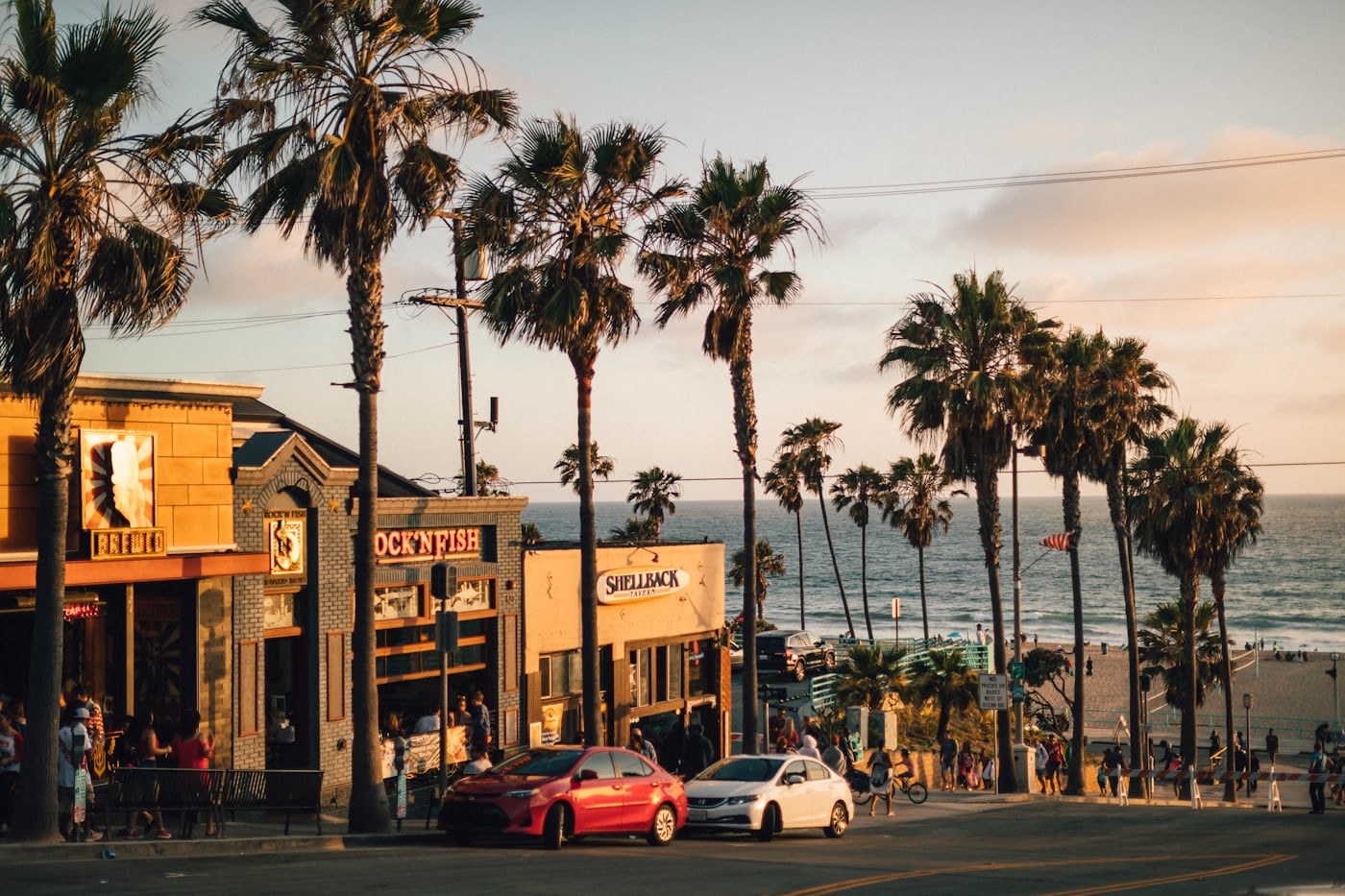 California palm trees at golden hour along the Pacific coastline