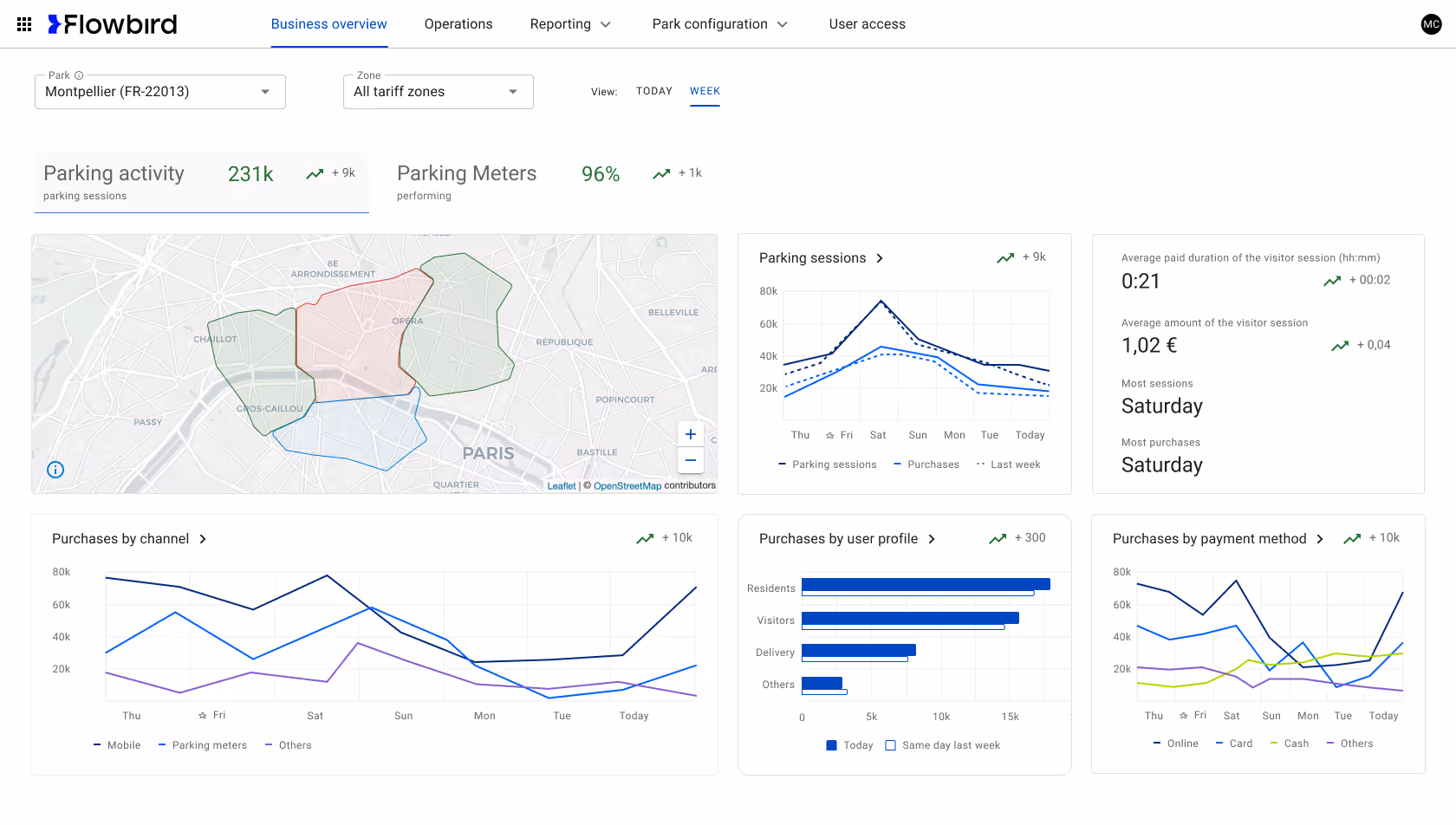Revised business overview page after testing, with clearer tabs and label relationships