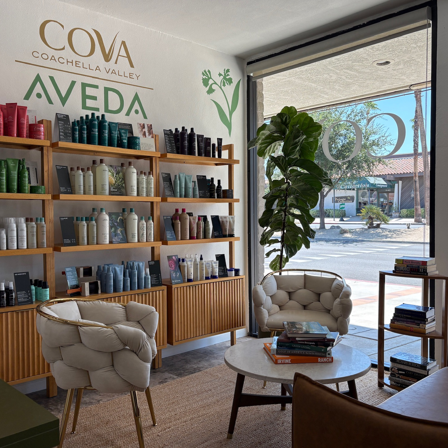 Cozy salon interior with wooden shelves displaying Aveda hair care products, two cushioned beige chairs, a round white coffee table with books, a tall green plant near large front window showing a street view, and a small wooden bookshelf with more books.