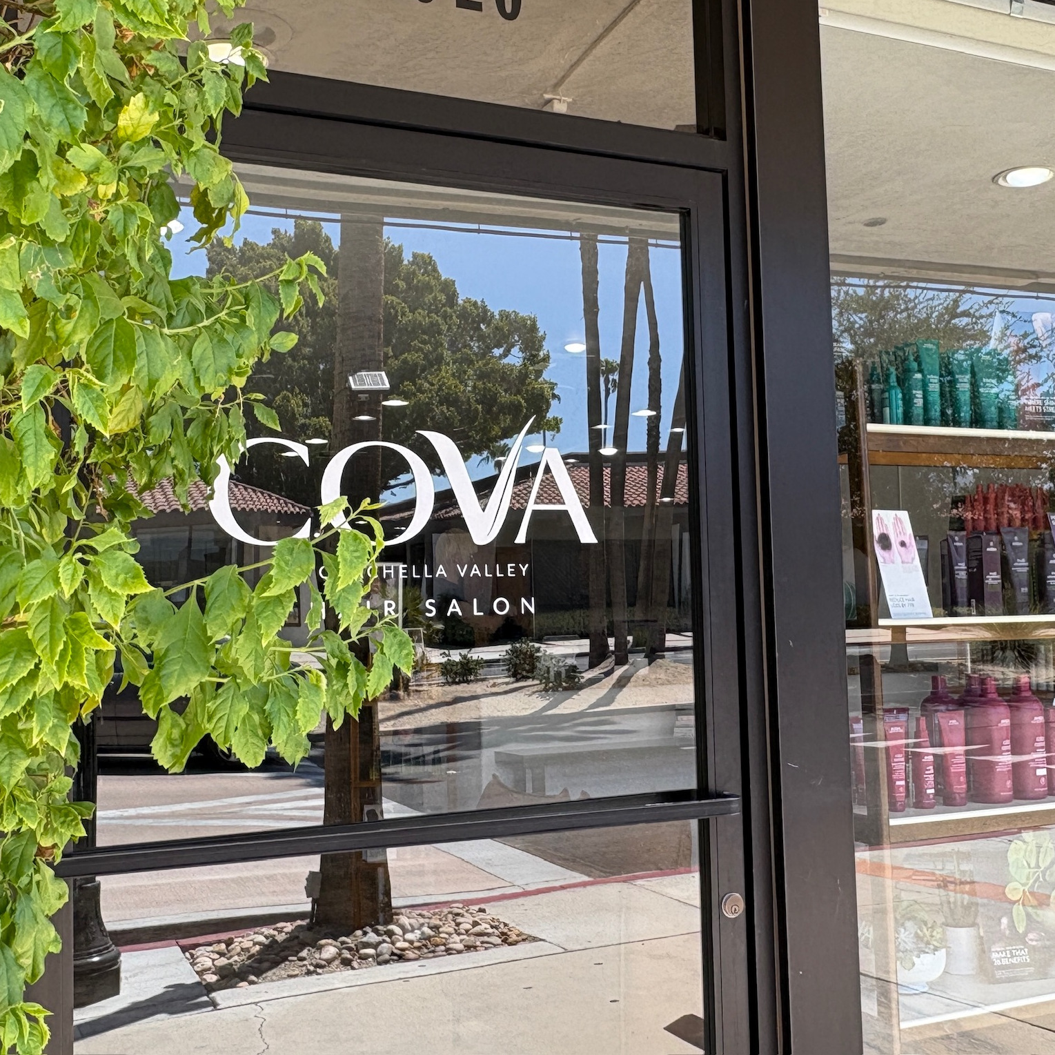 Glass door entrance of COVA Coachella Valley Hair Salon with reflection of palm trees and leafy green plant partially covering the logo.