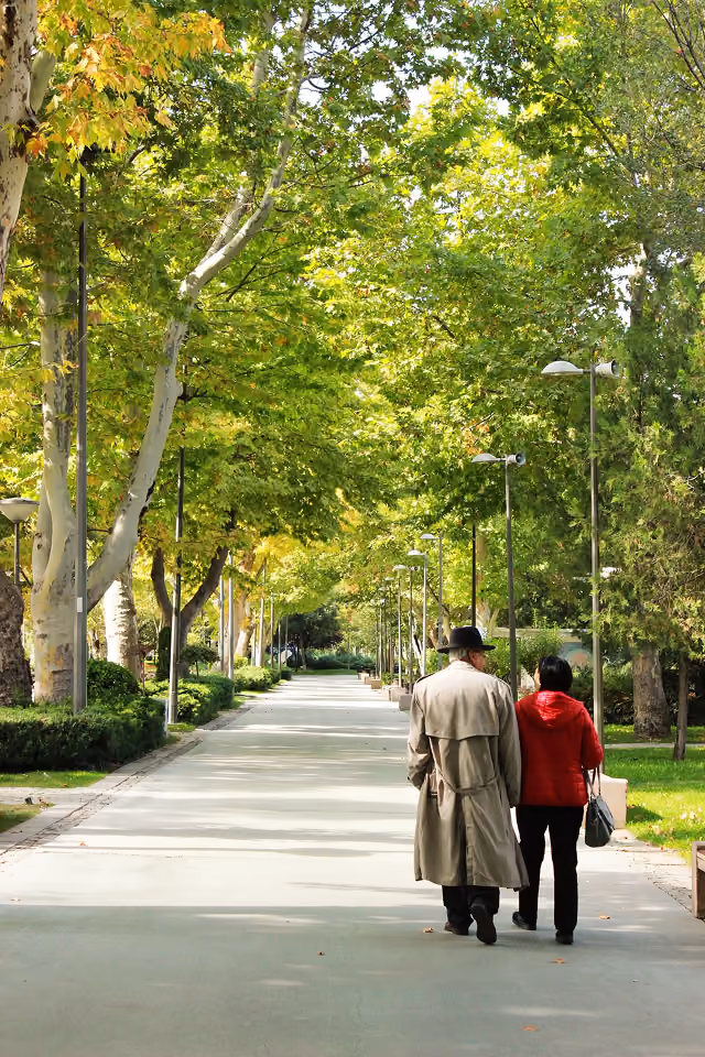 Elderly couple walking arm-in-arm down a tree-lined park path on a sunny day.