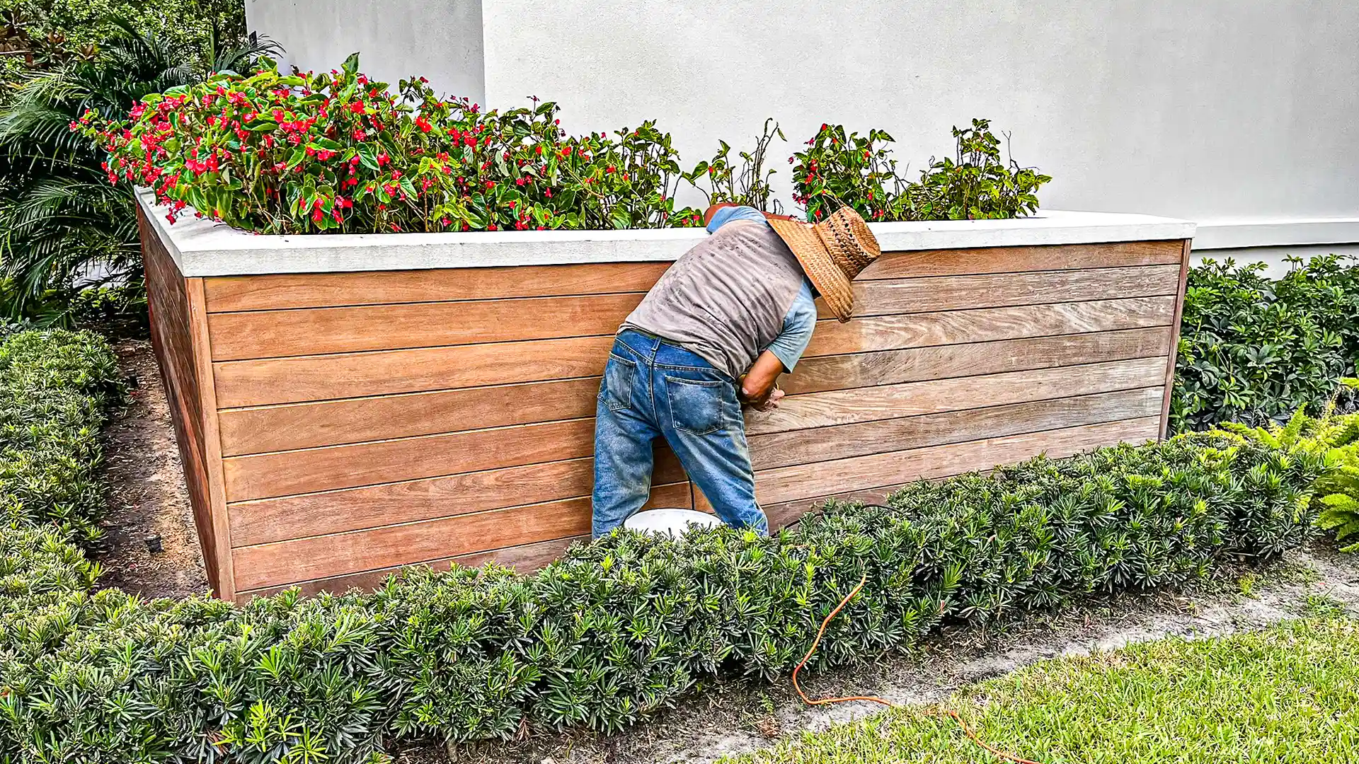 Weathered grey wood fencing on a Wellington property before restoration