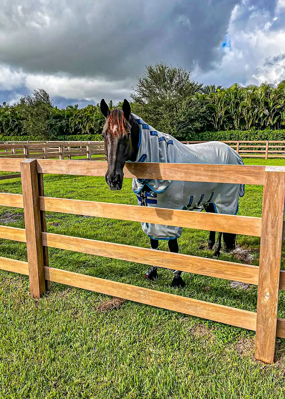 Equestrian fence restoration in Palm Beach County