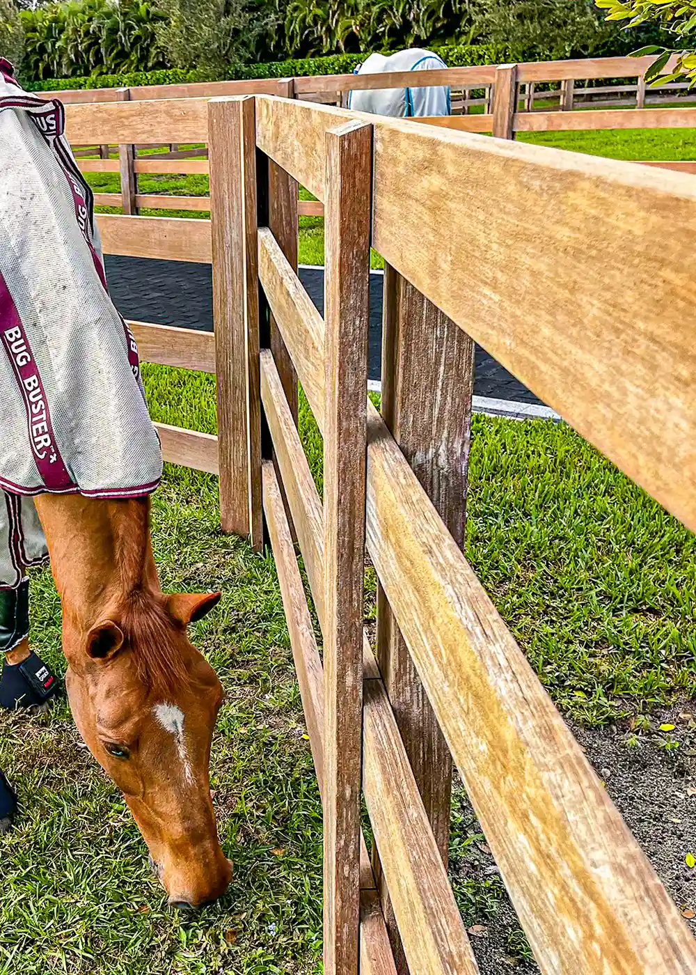 Wood fence staining on a ranch property