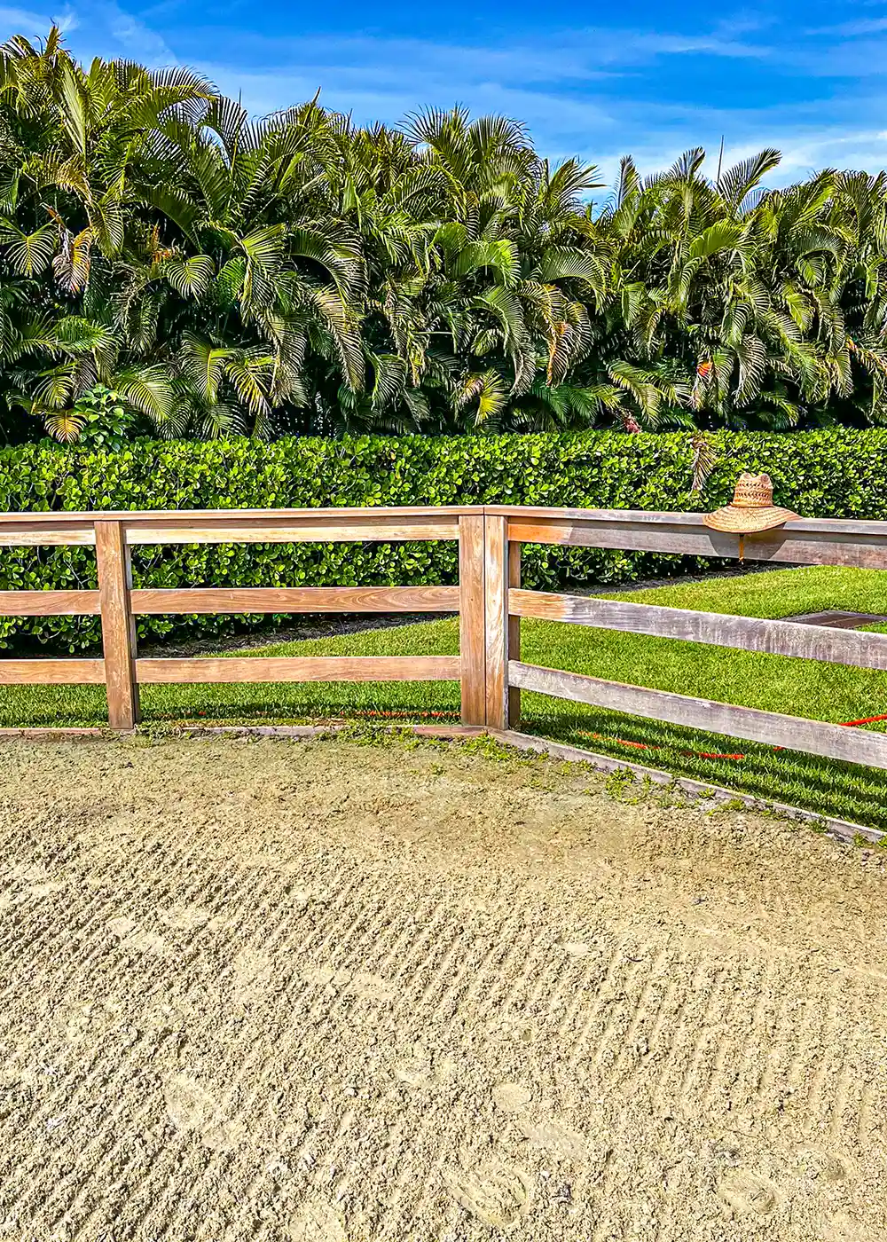 Wood brightening and UV protection for fencing
