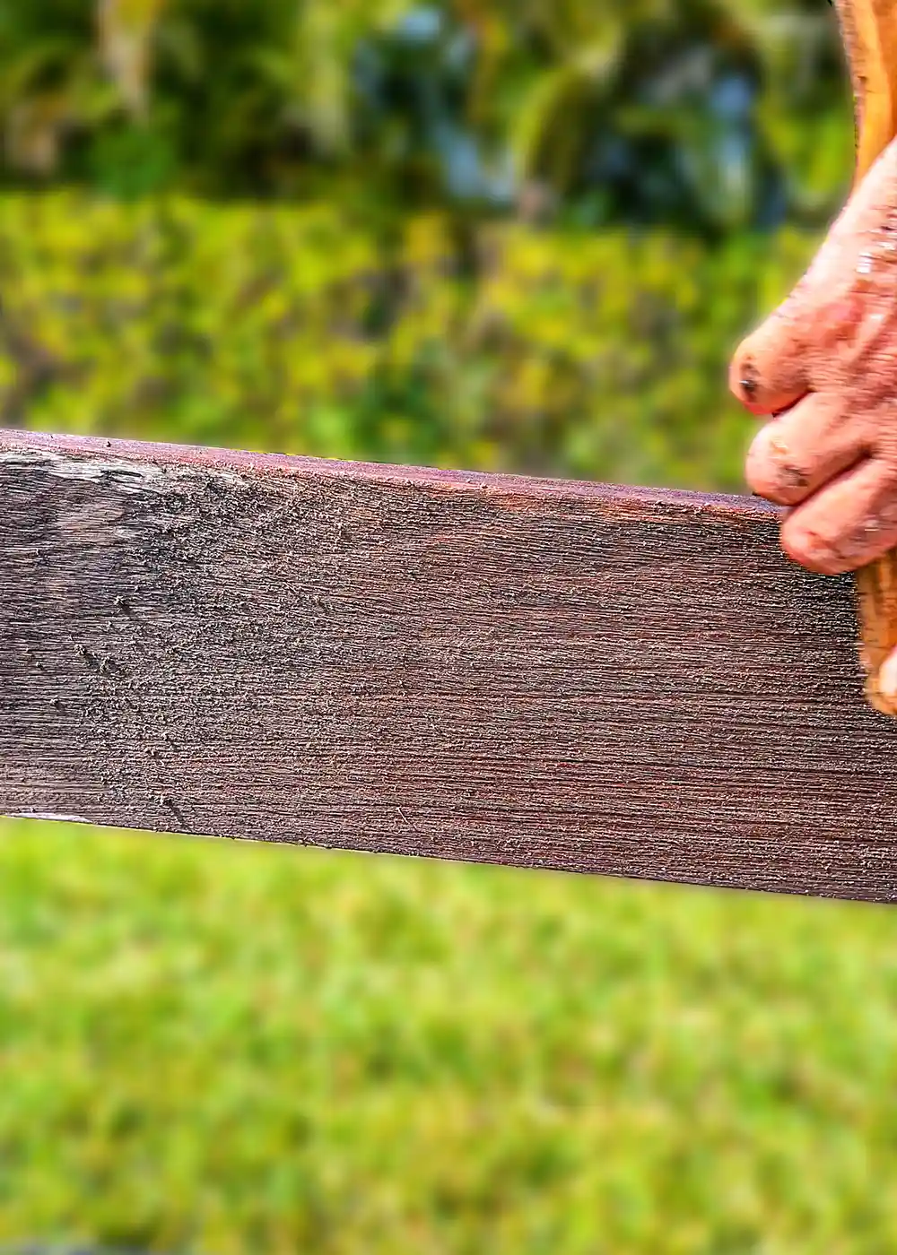 Hand scrubbing and preparation of wood fencing