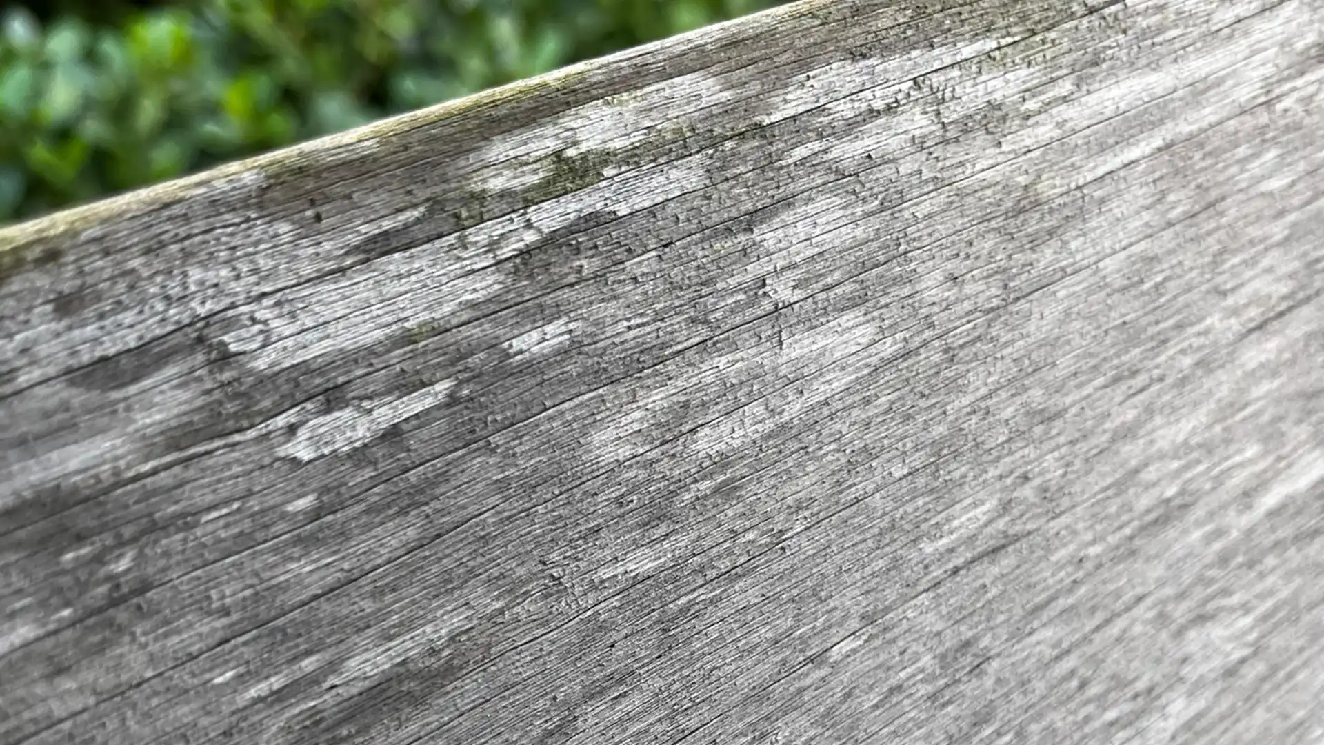 UV sun damage causing exterior wood fading and greying in Florida