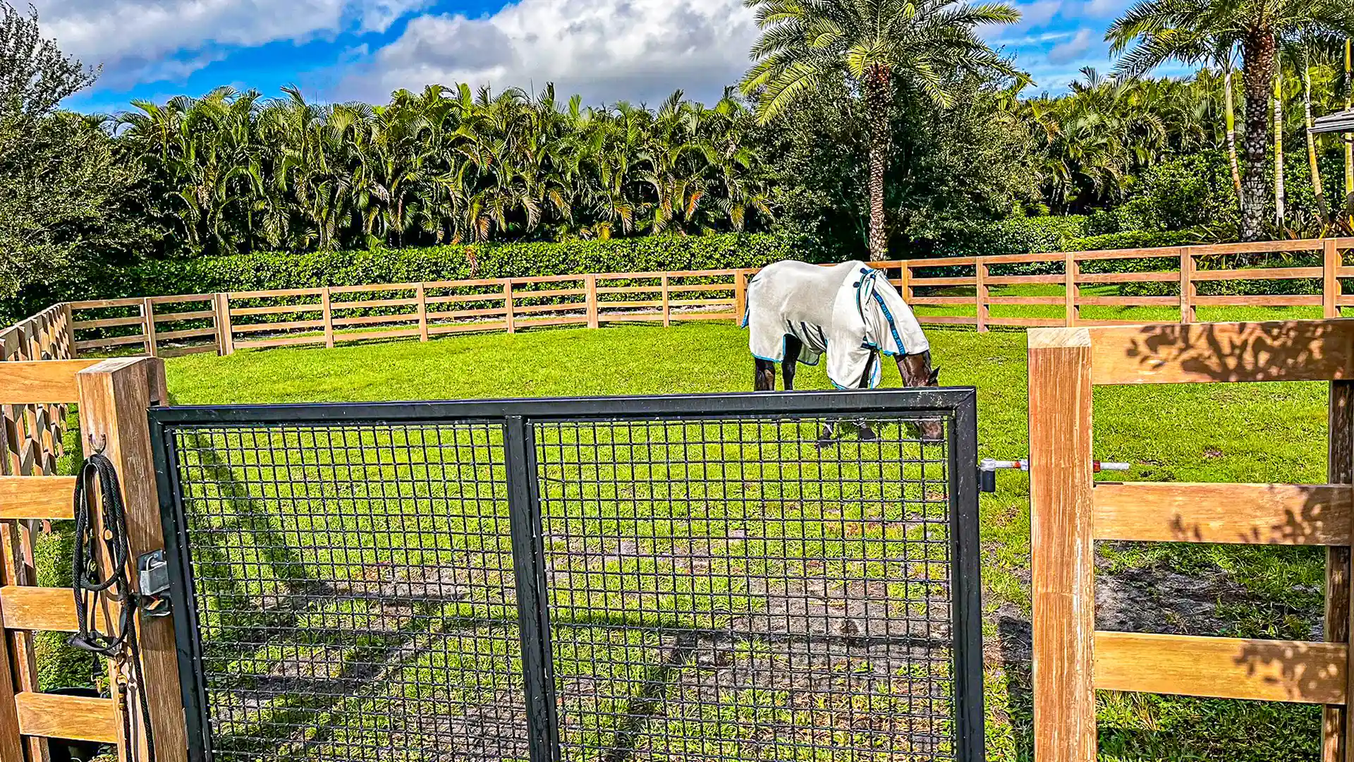 Restored wood fence line on an equestrian property