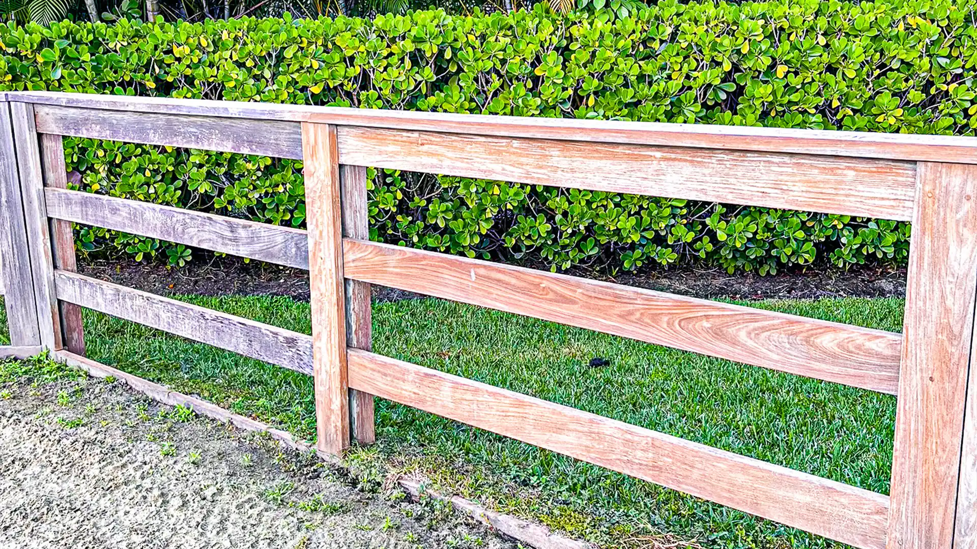 Fence needing regular maintenance and re-staining