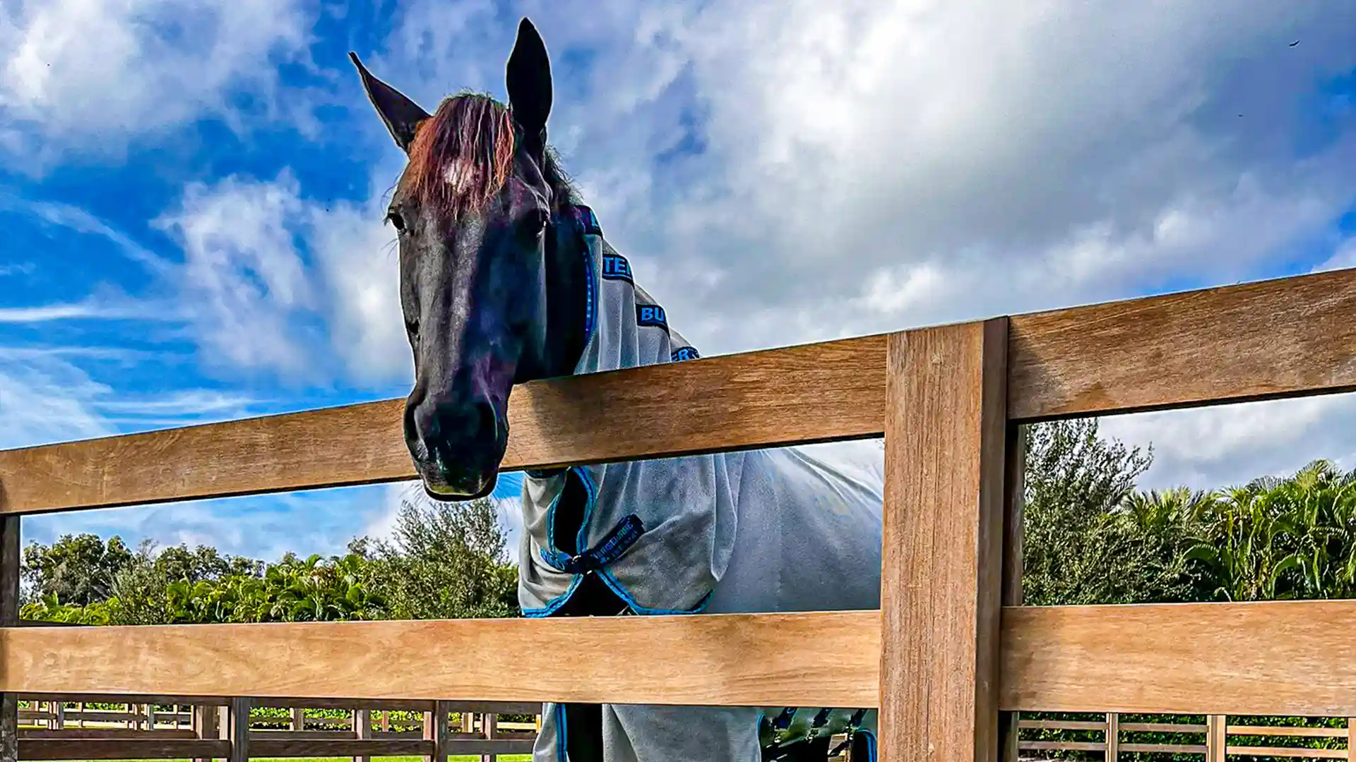 Horse-safe fence restoration on an equestrian property in Wellington Florida