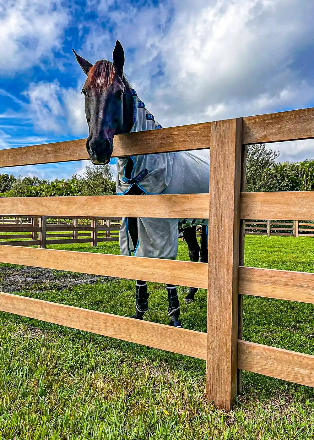 Wellington Florida fence restoration service area