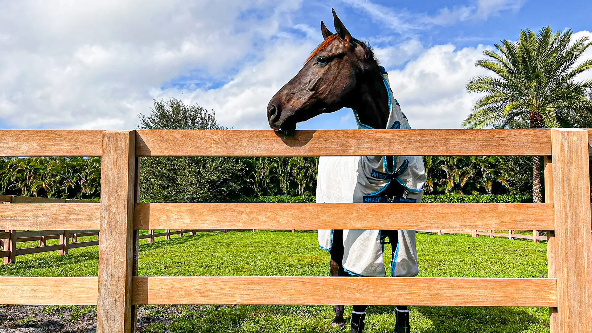 Wood fencing on an equestrian property in Wellington, Florida
