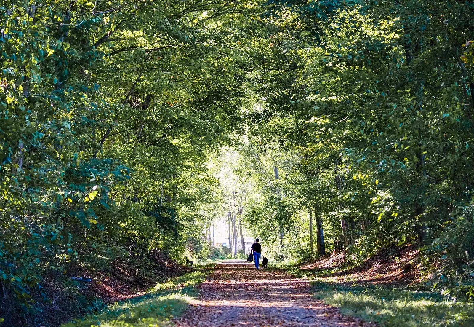 Sippo Valley Rail-Trail