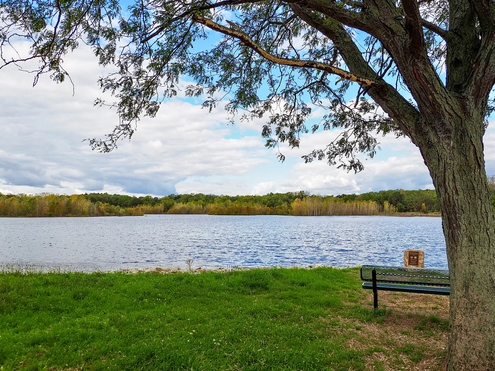 Shreve Lake Wildlife Area