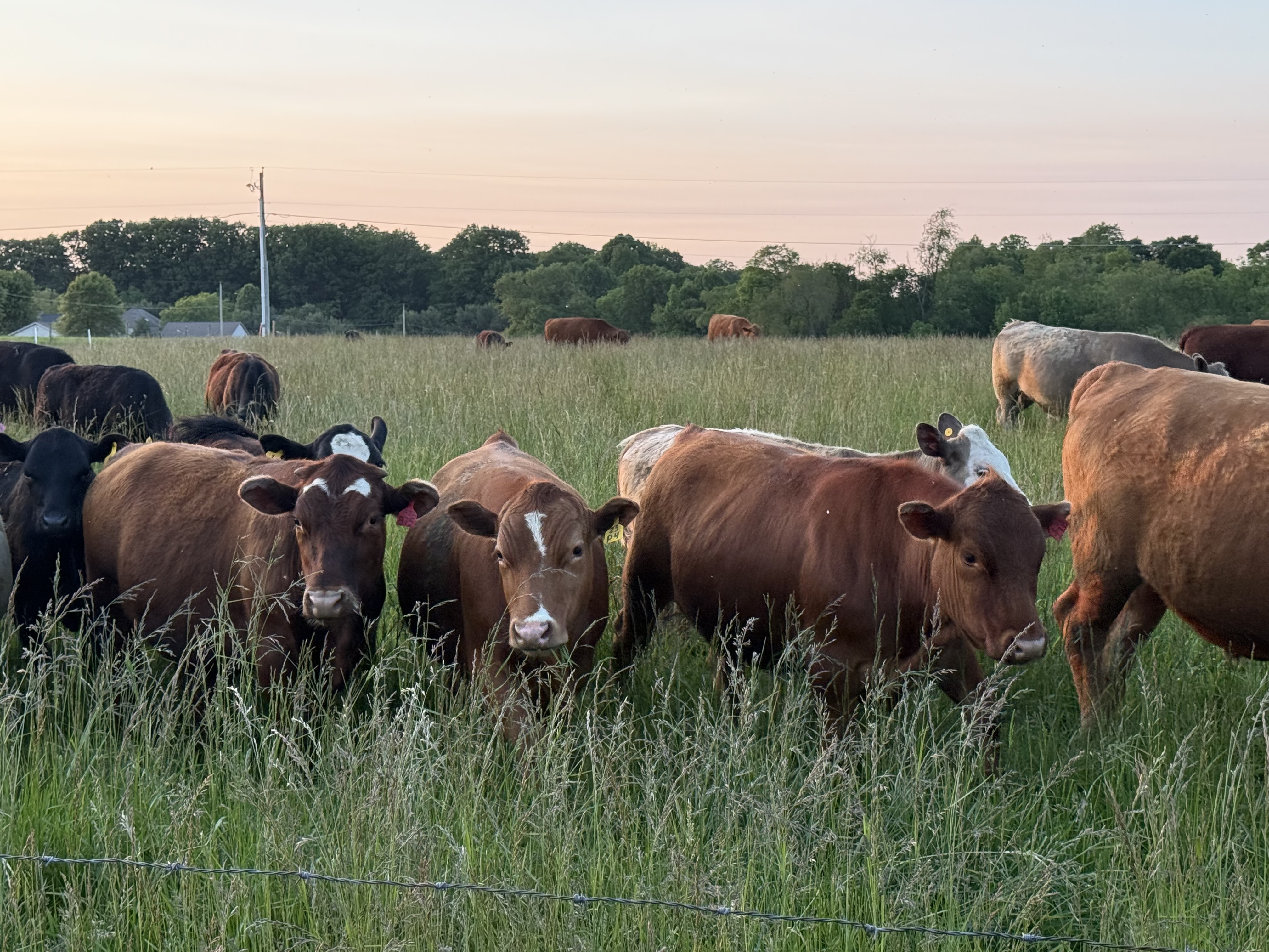 60th Annual Wayne County Farm Tour