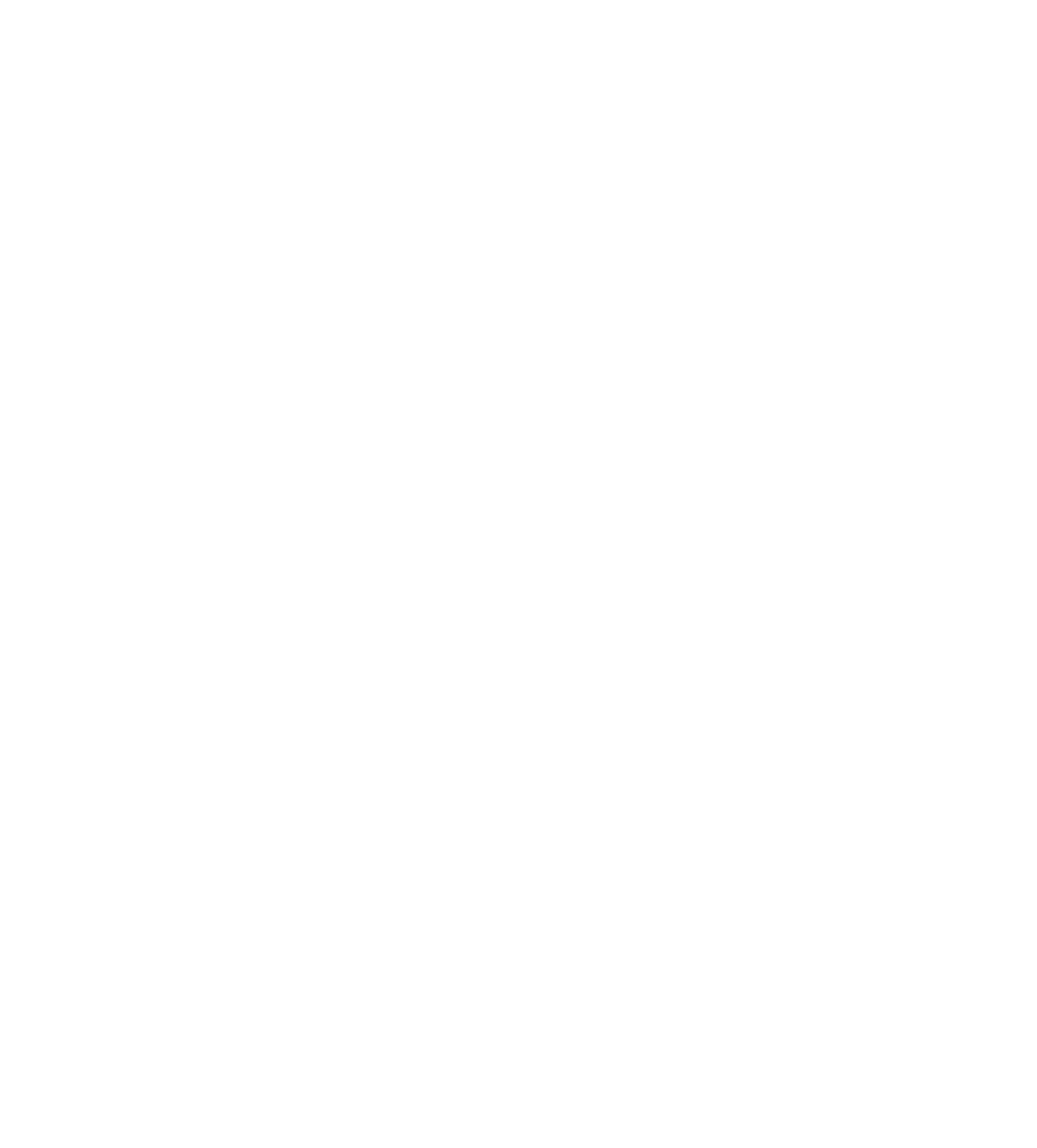 South Carolina Gamecocks