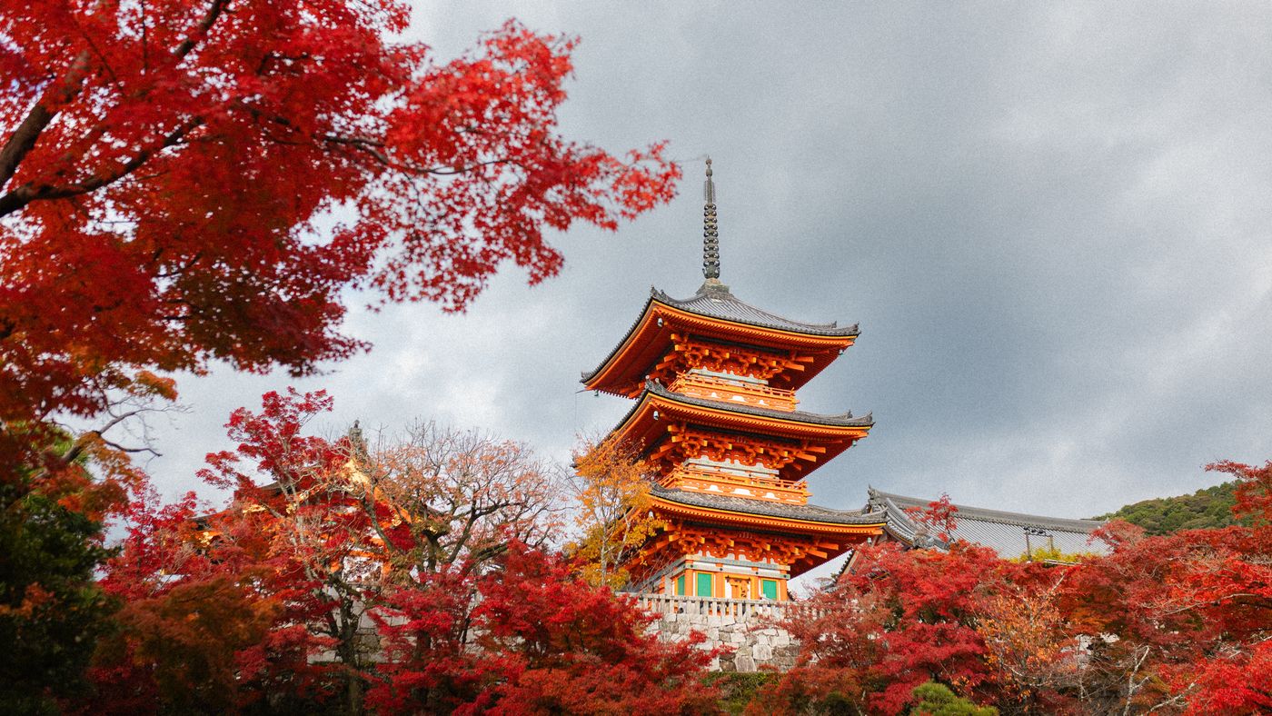 Japón