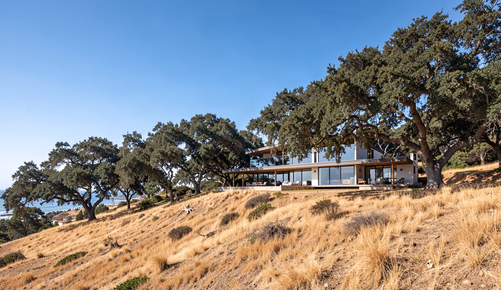 A hillside home in coastal California among oak trees under clear sky