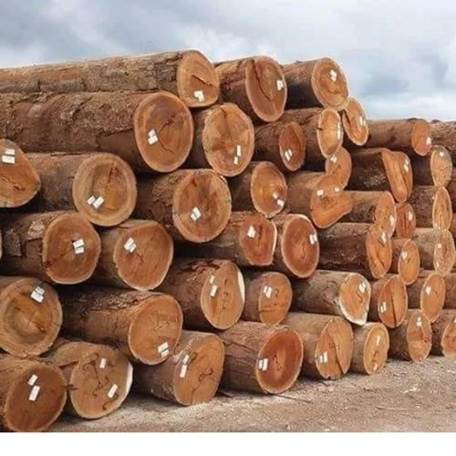 Tropical hardwood logs stacked and marked for traceability