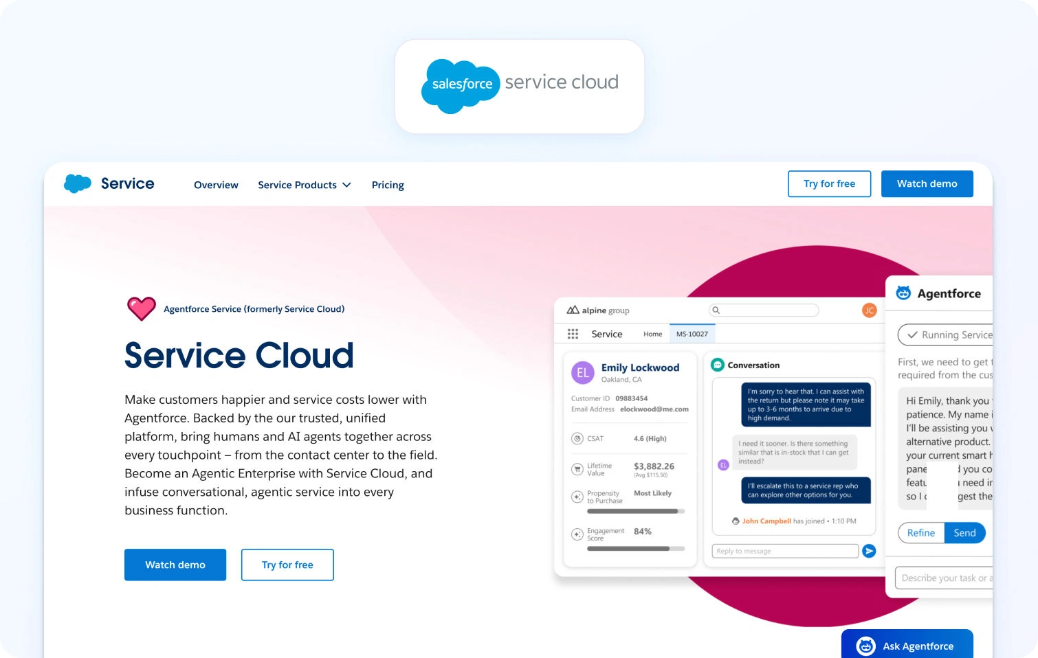 salesfore service could homepage view