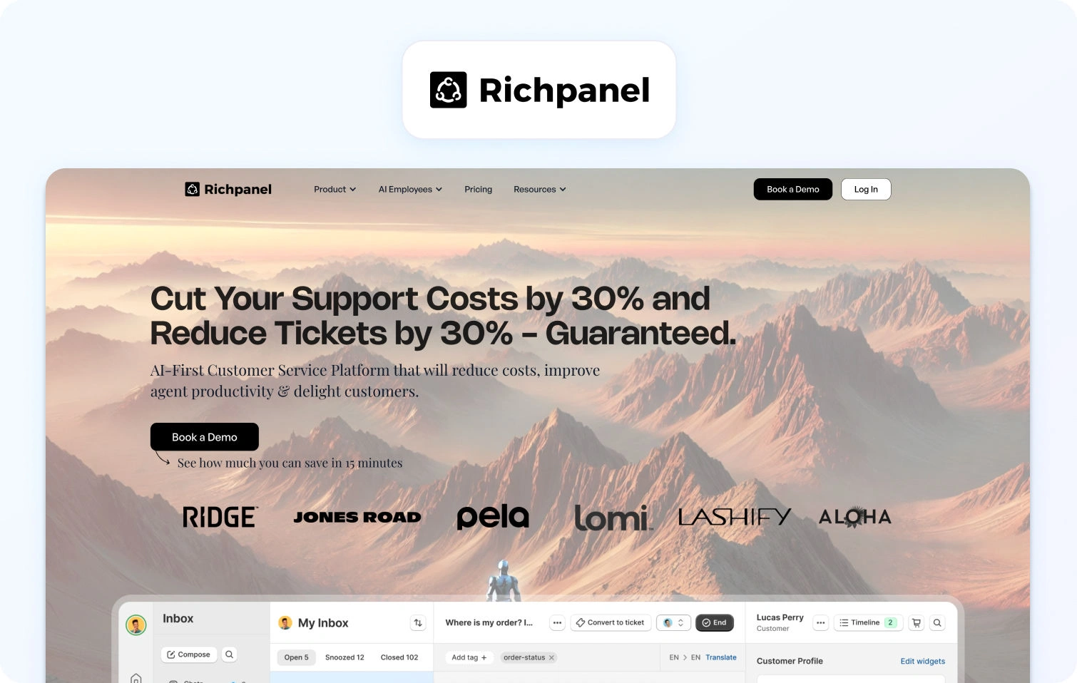 Richpanel homepage view
