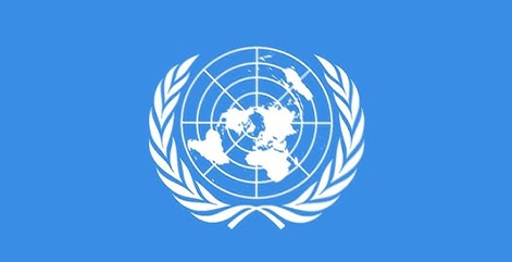 Light blue flag with white United Nations emblem of world map surrounded by olive branches.