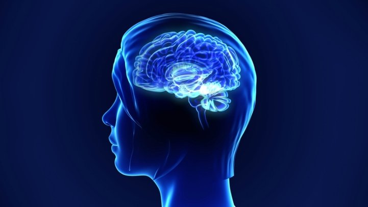 smaller hippocampus