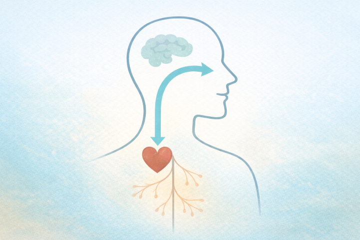 Illustration of breathing exercises affecting the nervous system and hormones.