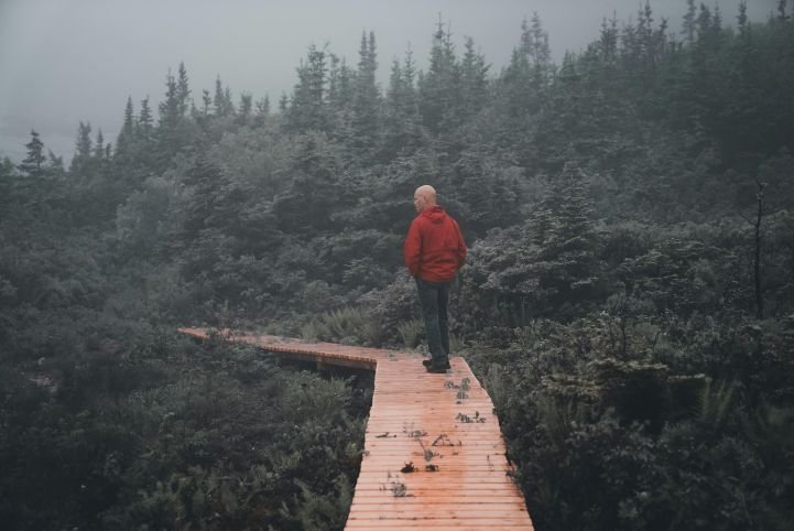 A man calmly walking a wooden path through greenery.