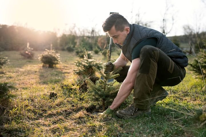 A young man planting a tree.