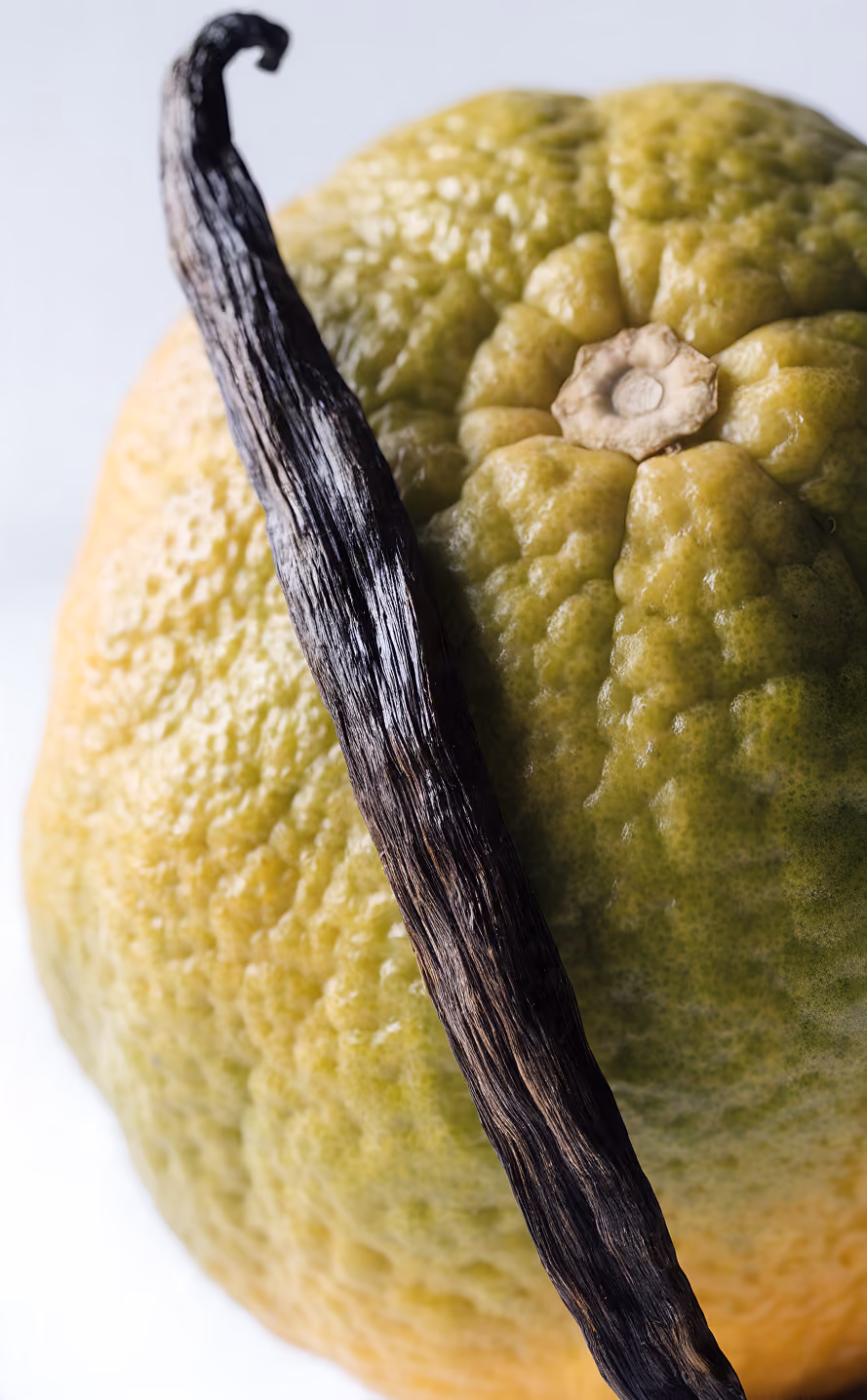 Close-up of a wrinkled greenish-yellow citrus fruit with a long dried vanilla bean on top.