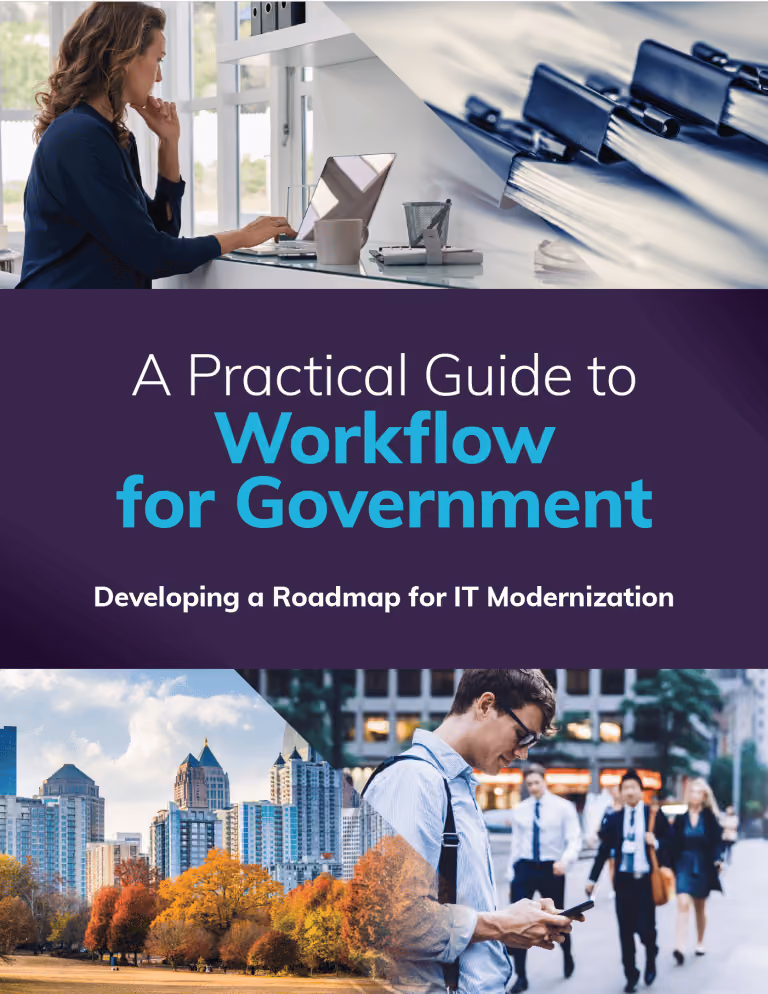 A Practical Guide to Workflow for Government.