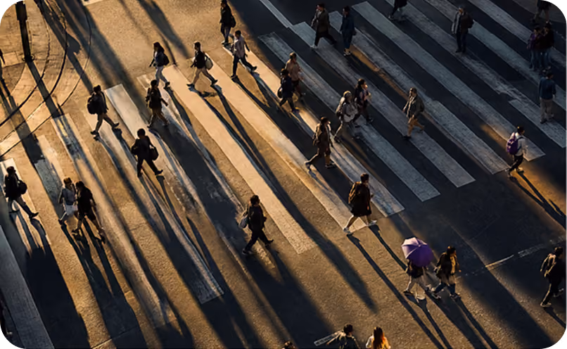 Aerial view of people crossing a street using a zebra crossing while casting long shadows on the road in warm sunlight.