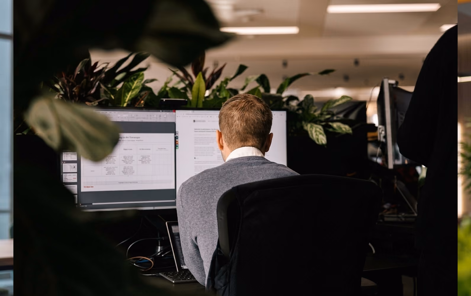 Man wearing a gray sweater working at a desk with dual computer monitors displaying documents, surrounded by office plants.