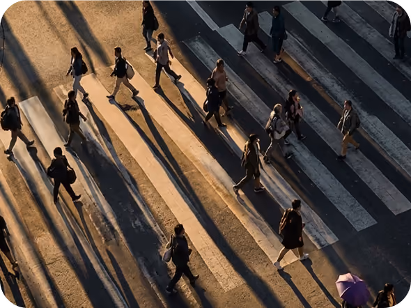 People walking across a zebra crossing casting long shadows during low sunlight, with some carrying backpacks and one person holding a purple umbrella.
