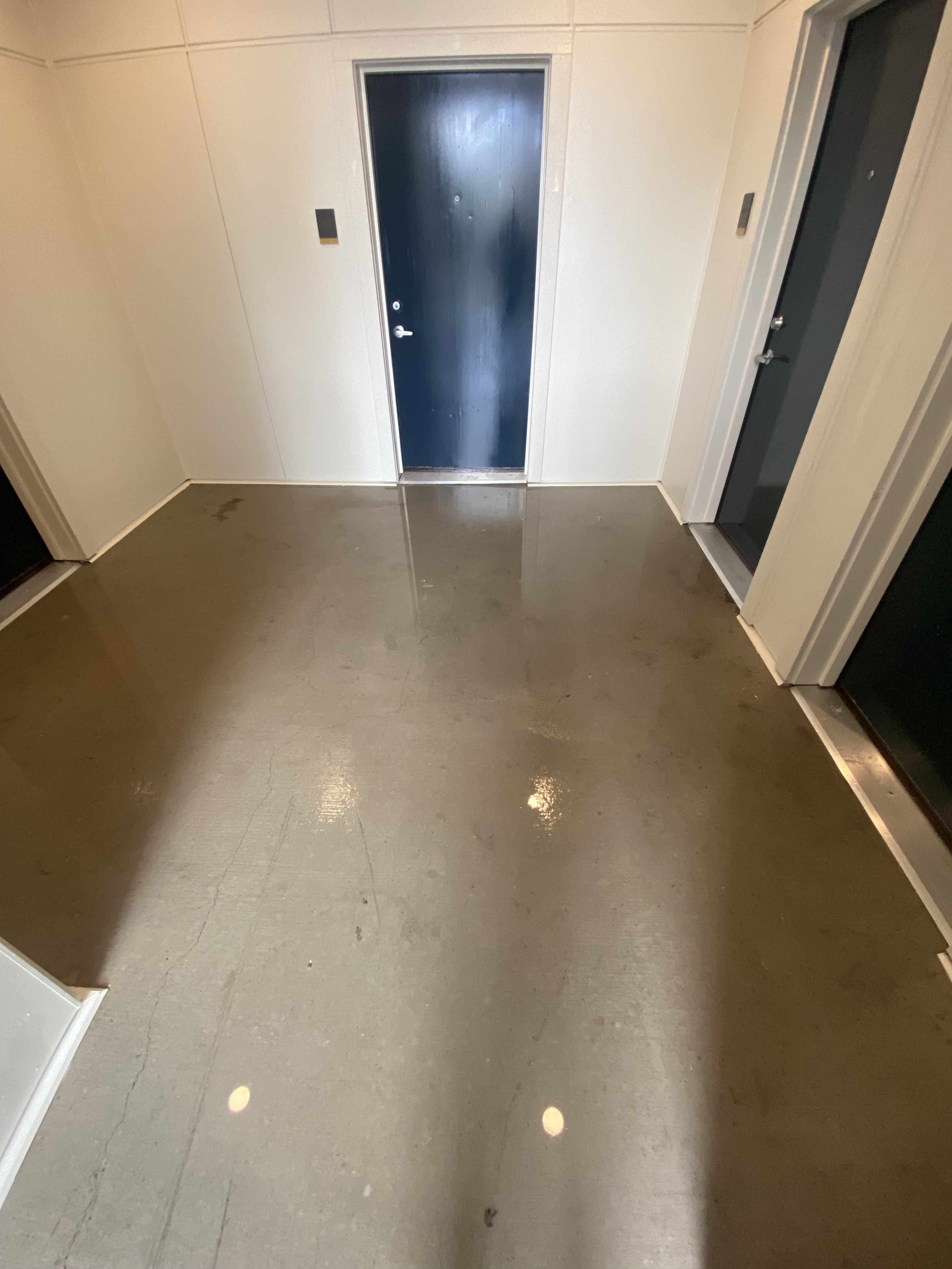 Goodman Real Estate – Breezeway & Sidewalk Pressure Washing_after2