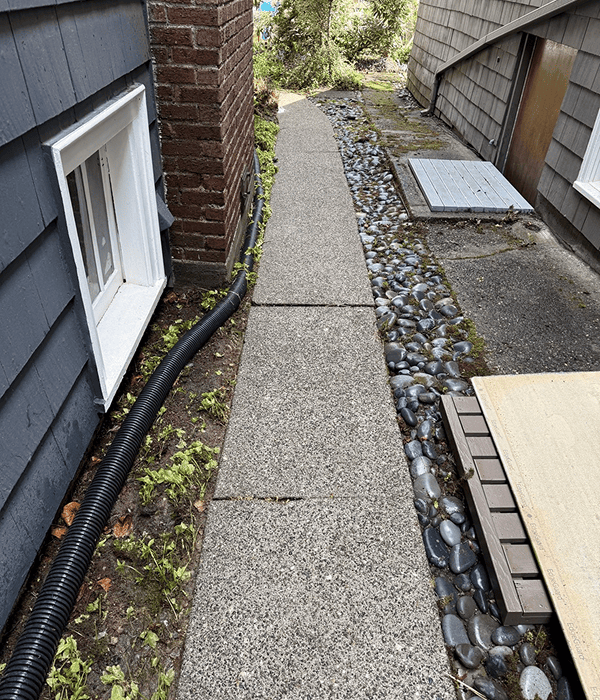 Clean, freshly pressure-washed concrete pathway with neatly maintained landscaping