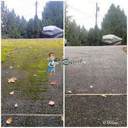 Driveway cleaning