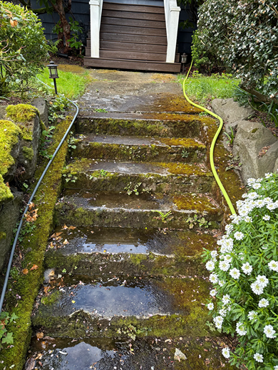 exterior stair