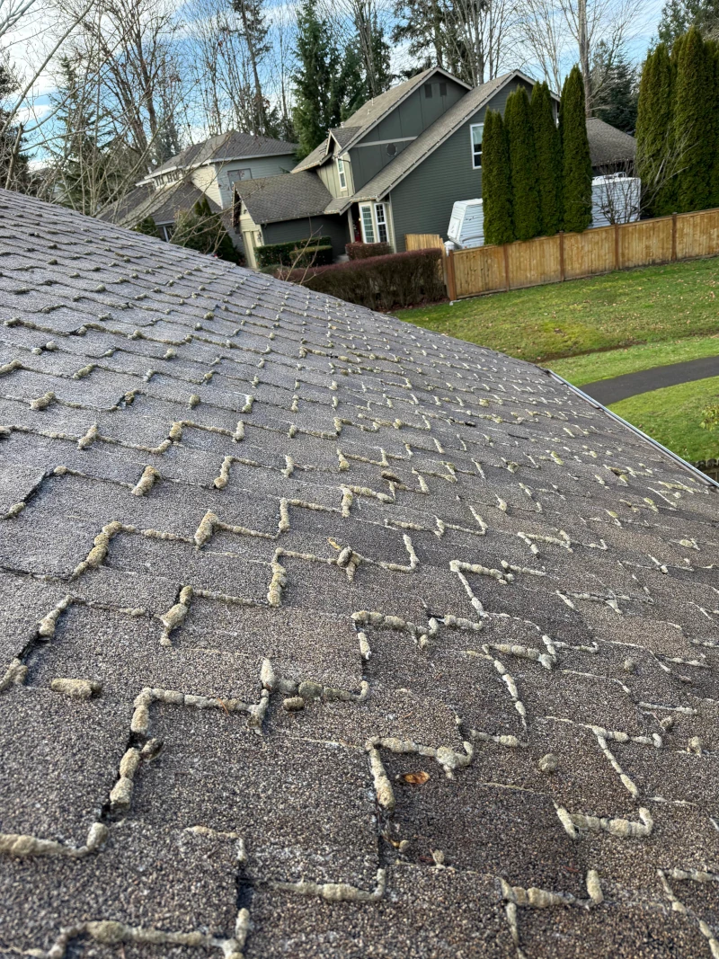 The same Seattle roof cleared of moss after a soft wash treatment
