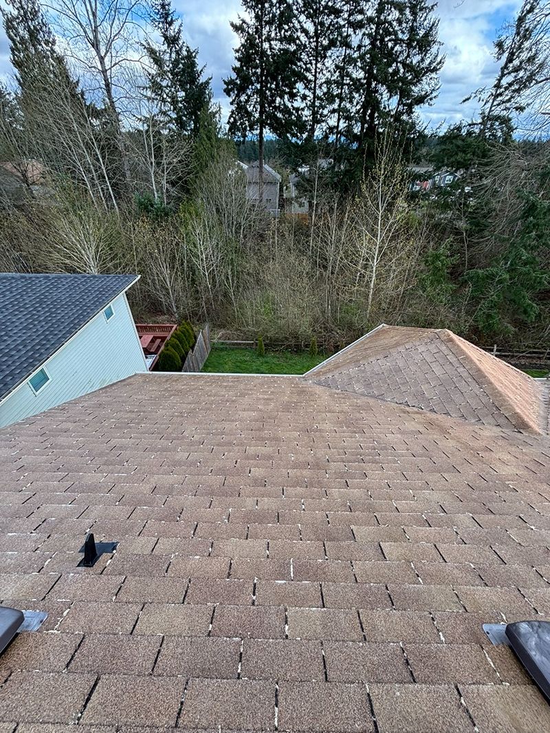 After: same Bellevue WA asphalt shingle roof moss-free following safe low-pressure roof cleaning