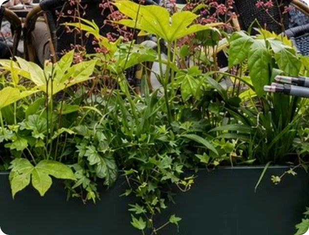 Donkergroene plantenbak met vingerplant, purperklokje, grassen en klimop op een terras